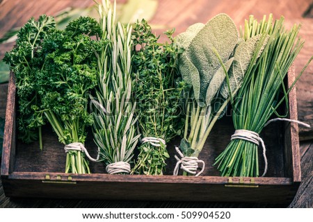 Stock photo: Fresh Herbs And Spices