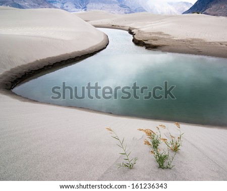 Сток-фото: Sand Dunes Of Nubra Valley With River And Desert Plant Himalaya