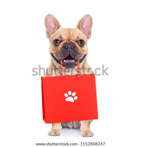 Stock photo: Shopping Dog With Bag