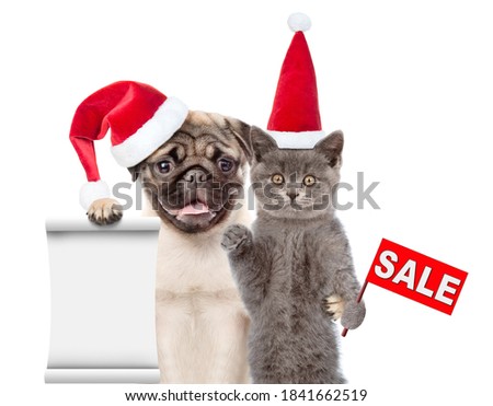 ストックフォト: Christmas Cats And Dogs Wearing Santa Caps Standing And Sitting