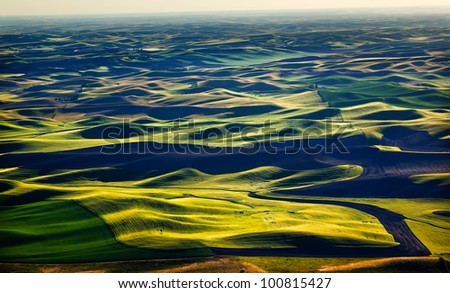 Stock photo: Green Wheat Fields Black Fallow Land Patterns And Farms Palouse