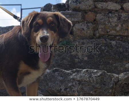 [[stock_photo]]: Man Stood Outdoors By Stone Wall