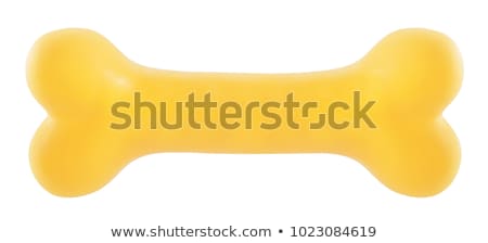 Stock photo: Yellow Rubber Dog Toy