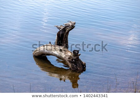 Stock photo: Old Wooden Logs