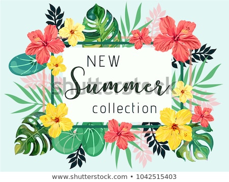 [[stock_photo]]: Collection Of Summer