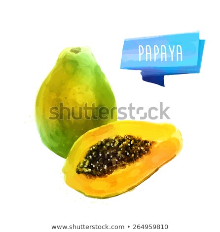 Foto stock: Papaya On White Background Vector Illustration