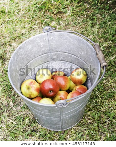 Stok fotoğraf: Old Zinc Bucket With Shiny Red Apples