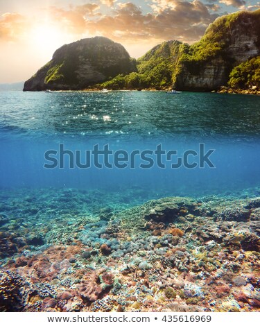 Ocean View With Island And Fish Underwater Zdjęcia stock © Artush