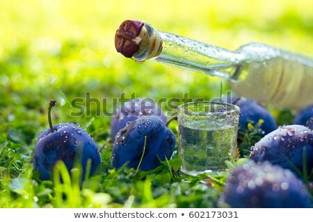 Foto stock: Fresh And Bottled Plums