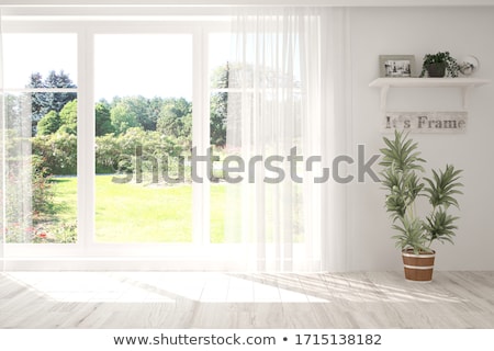 Stock foto: Summer Window