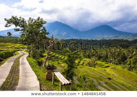 Foto stock: Country Road At Rice Fields Of Jatiluwih In Southeast Bali