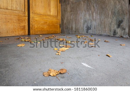 Stockfoto: The Fallen Leaves On The Background Wall With Vintage Wallpaper