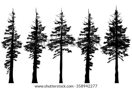 Ancient Tree Silhouette Stockfoto © CarpathianPrince