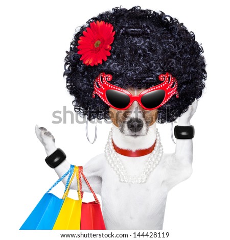 Stok fotoğraf: Shopaholic Diva Dog