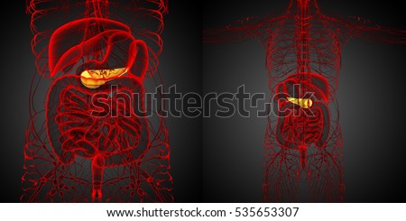 Imagine de stoc: 3d Render Medical Illustration Of The Gallblader And Pancrease