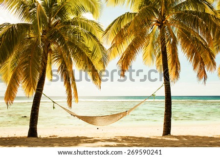 Foto stock: Hammock Between Two Palm Trees On The Beach During Sunset Cross