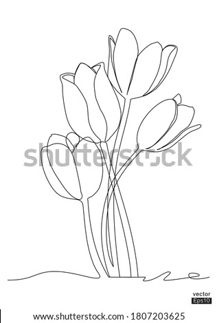 [[stock_photo]]: Beautiful Tulip Flower Line Art Concept Design Continuous Line Drawing Stylized Flower Symbol Ve