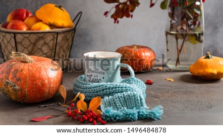 Stock photo: Hot Chocolate Autumn Leaves And Warm Blanket