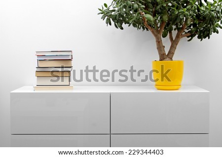 Foto stock: White Commode With Stack Of Books And Flower Pot In Bright Minimalism Interior