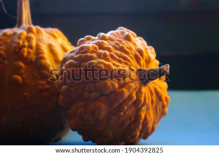 Stock fotó: Decoration Mini Pumpkin Cucurbita Pumpkin Pumpkins From Autumn H