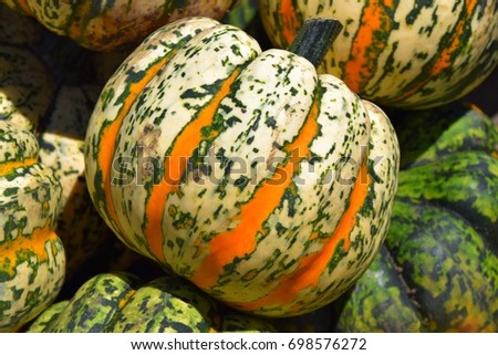 Stock fotó: Sweet Lightning Microwave Cucurbita Pumpkin Pumpkins From Autumn