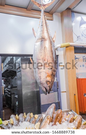 ストックフォト: Large Fresh Silver Tuna Suspended On A Hook Near A Fish Market