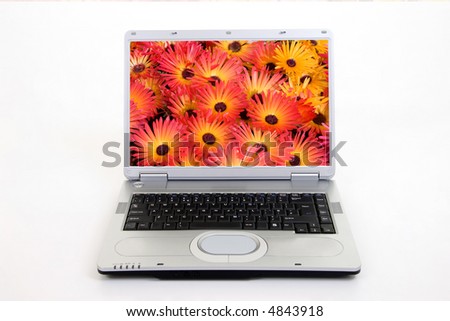 Foto stock: Silver Laptop Computer Showing Search For Flowers On Internet