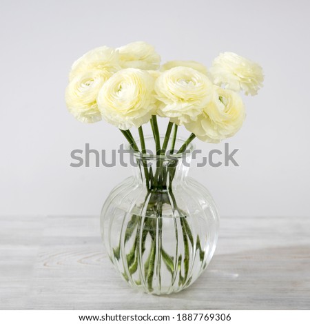 ストックフォト: White Ranunculus Flowers In A Glass Vase Grey Background Copy Space