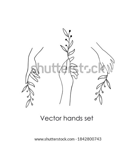 Stock fotó: Beauty Care Delicate Hands With Manicure Holding A Leaf Close Up Isolated On White Background Beau