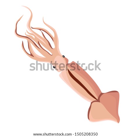 Raw Live Squid With Tentacles Icon Isolated On White Background Healthy Fresh Seafood Vector Illus Zdjęcia stock © MarySan