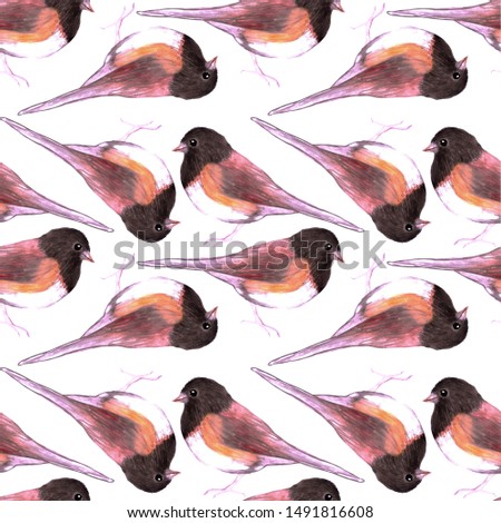 Foto stock: Dark Eyed Junco Or Junco Hyemalis Bird Seamless Watercolor Birds Painting Background