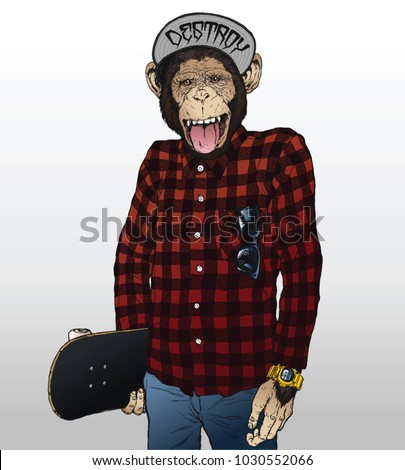Stock photo: Skater Monkey