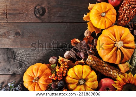 Stock fotó: Harvest Time Pumpkins