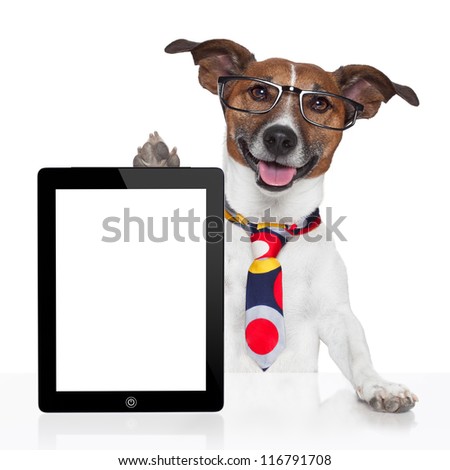 Foto stock: Business Dog Tablet Pc Ebook Touch Pad