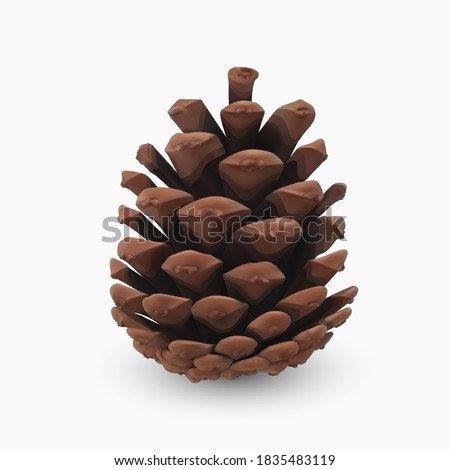 Stock photo: Pinecone