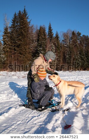 Zdjęcia stock: Two Boys With Snow Scooter And Dog
