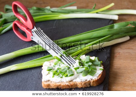 Stock photo: Special Herb Scissor