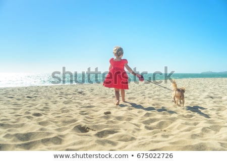 Zdjęcia stock: Chihuahuas And Girl On The Beach