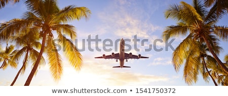 Сток-фото: Airplane Landing