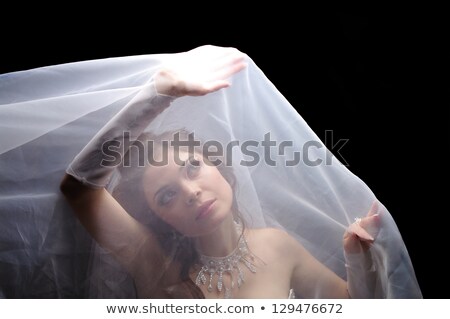 Foto stock: Beautiful Bride Under A Veil
