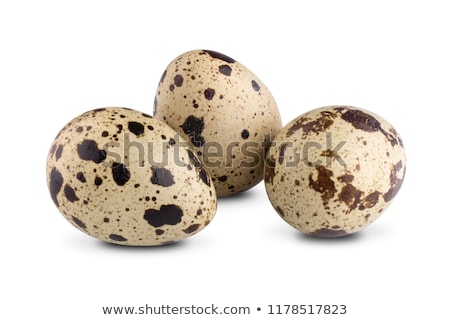 Сток-фото: Quail Eggs