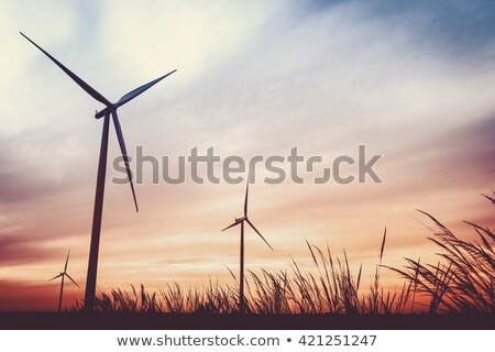 ストックフォト: Sunset With Wind Mill