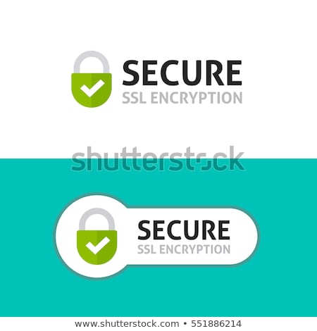 Stock foto: Ssl Protected Green Vector Icon Design