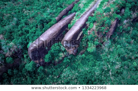 Foto stock: Res · en · las · rocas