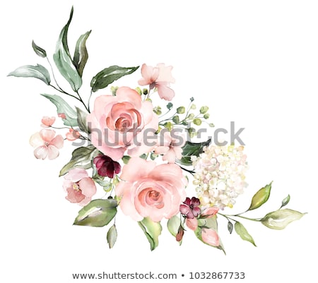 Stock fotó: Flowers Of A Pink Wild Rose