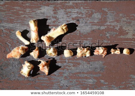 Foto stock: Leftover Bone On The Floor