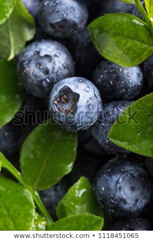 Stockfoto: Fresh Ripe Blueberries