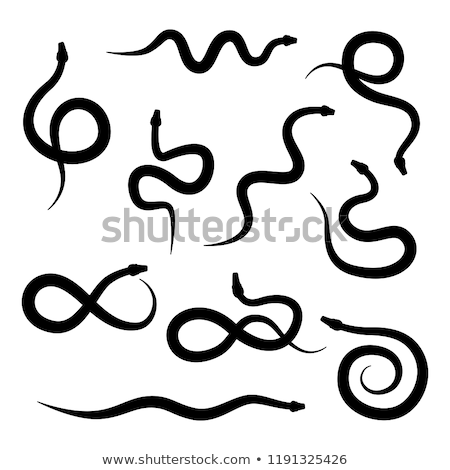 ストックフォト: Vector Set Of Snake Silhouette Icons