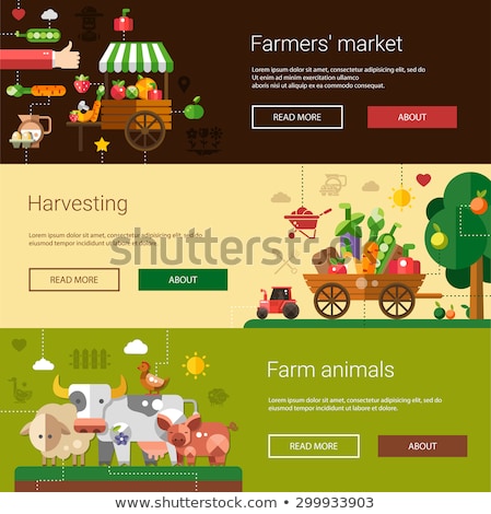 Stock photo: Business Flat Infographic Template Banners With Text Fields Vector Illustration