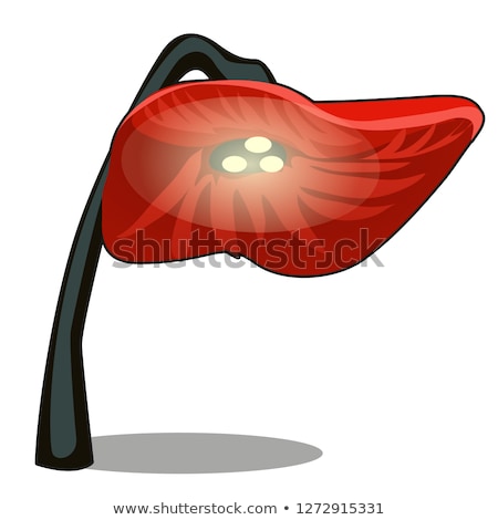 Stockfoto: Decorative Lamp In The Form Of Flower With Red Shades In The Shape Of A Bud With Petals Isolated On